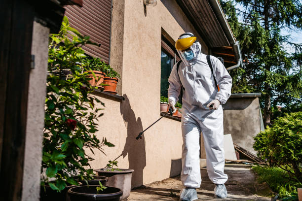 Best Local Pest Control Services  in Kings Grant, NC