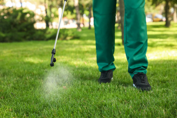 Best Flea Control Services  in Kings Grant, NC