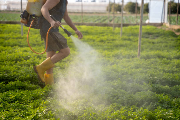 Best Pest Control for Restaurants  in Kings Grant, NC