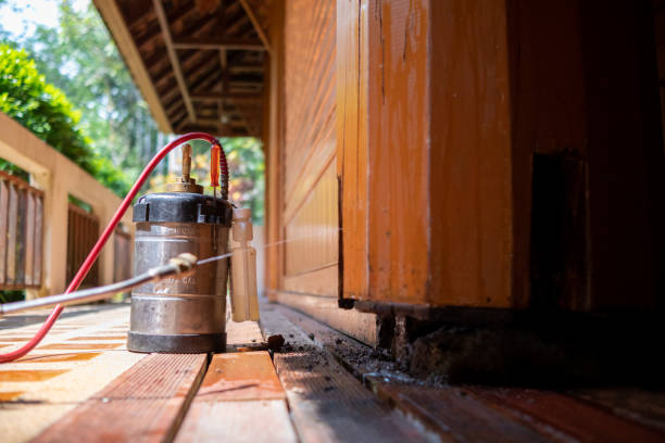 Best Rat Extermination Near Me  in Kings Grant, NC
