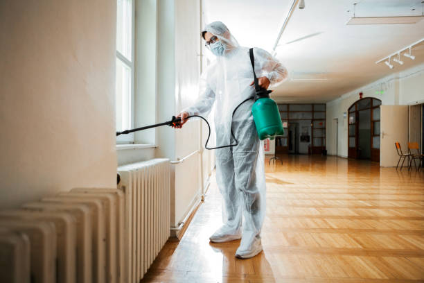 Wasp Removal Services in Kings Grant, NC
