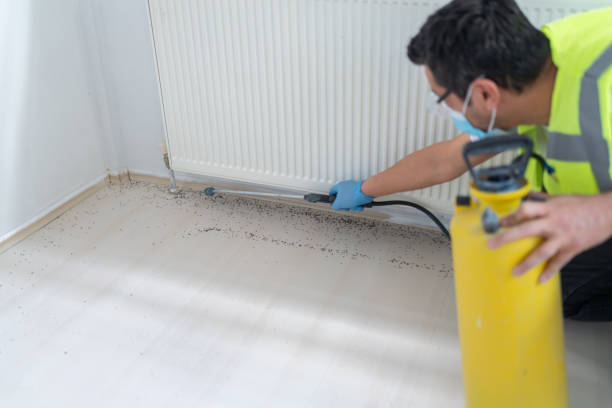 Best Residential Pest Control  in Kings Grant, NC