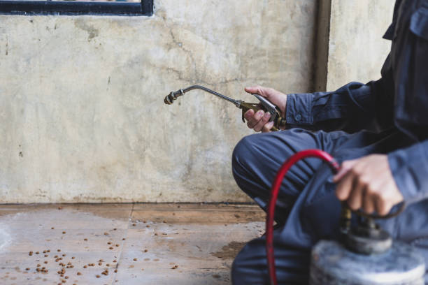Pest Control for Restaurants in Kings Grant, NC