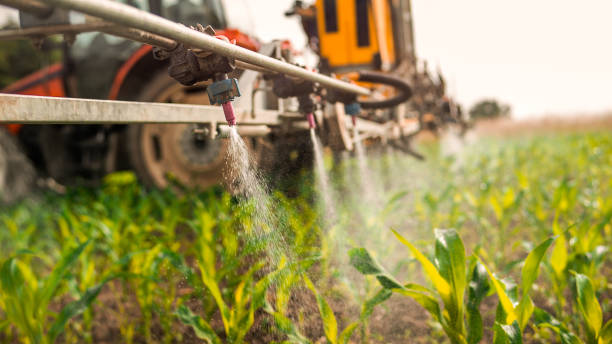 Best Commercial Pest Control Services  in Kings Grant, NC